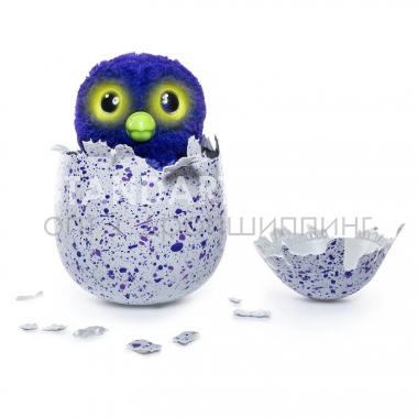 Игрушка Hatching Pet Egg (оптом / розница / дропшиппинг)