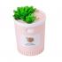Увлажнитель воздуха Succulents Humidifier (оптом / розница / дропшиппинг)